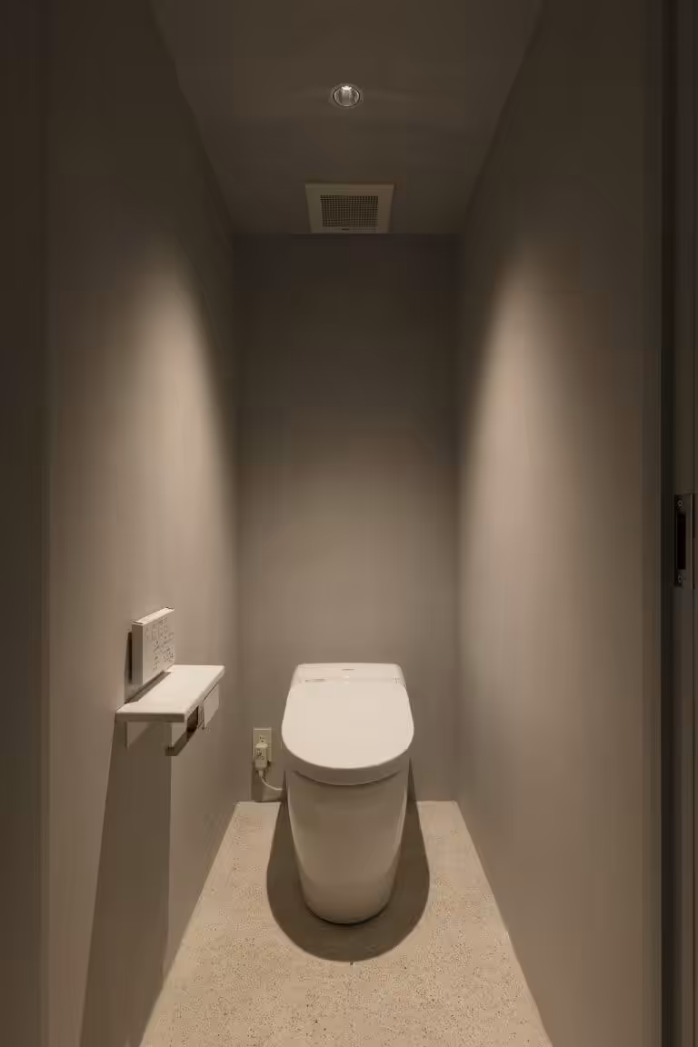 _55A8547